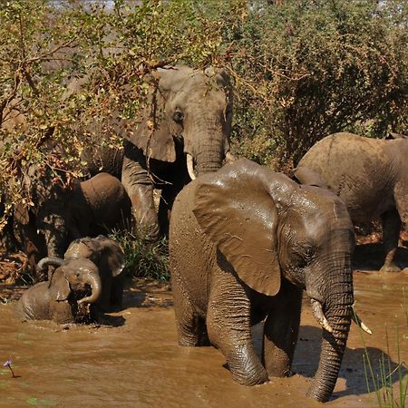 Lions Place Grietjie Game Reserve エクステリア 写真