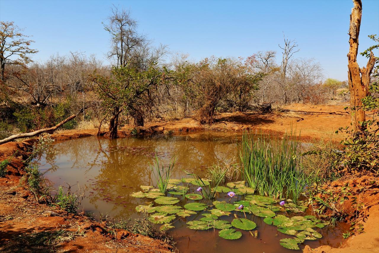 Lions Place Grietjie Game Reserve エクステリア 写真